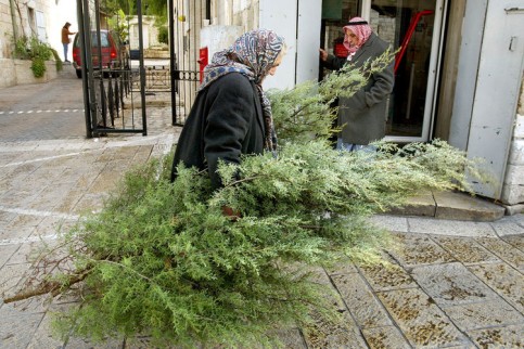 Jerusalem Distributes Free Christmas Trees